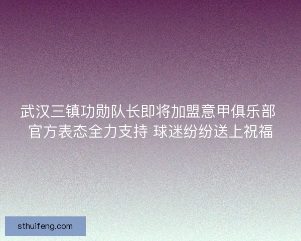 武汉三镇功勋队长即将加盟意甲俱乐部 官方表态全力支持 球迷纷纷送上祝福