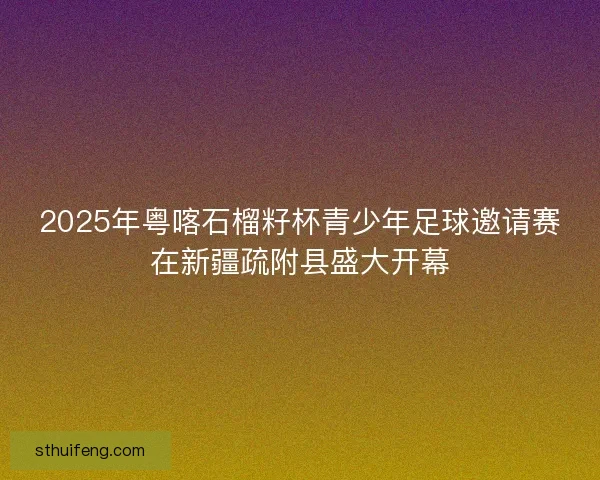 2025年粤喀石榴籽杯青少年足球邀请赛在新疆疏附县盛大开幕 2025年粤喀石榴籽杯青少年足球邀请赛在新疆疏附县盛大开幕