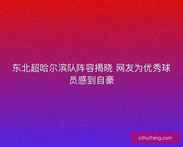东北超哈尔滨队阵容揭晓 网友为优秀球员感到自豪