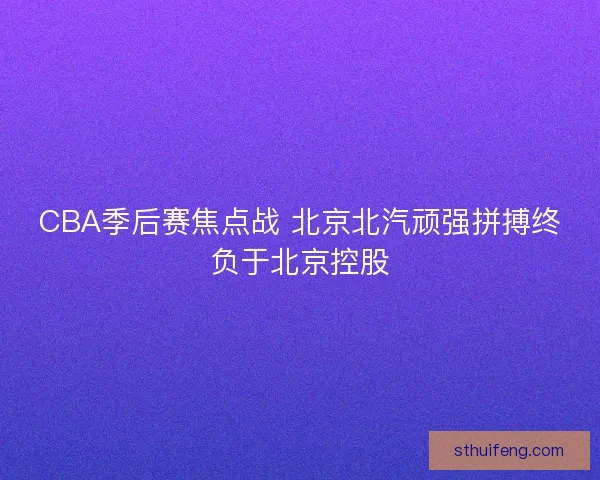 CBA季后赛焦点战 北京北汽顽强拼搏终负于北京控股
